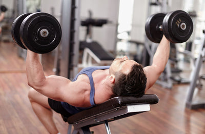 Fixing Noise Issues with Your Workout Bench
