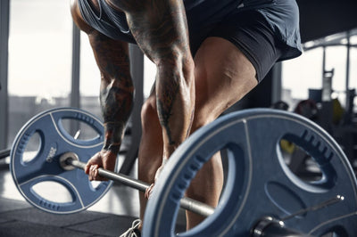 Full-Year Barbell Workout Plans for Consistent Progress