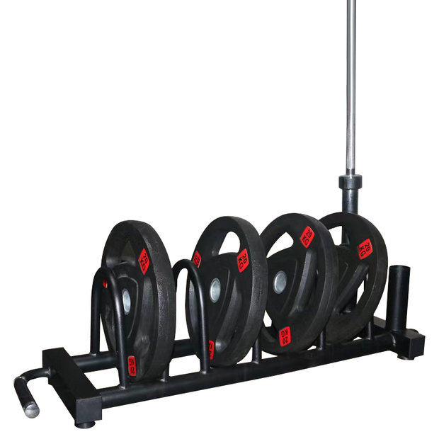 Weight Plate and Vertical Bar Holder Storage Rack