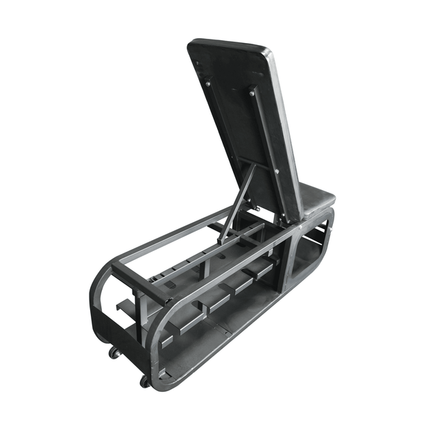 Strongway Weights Storage Bench