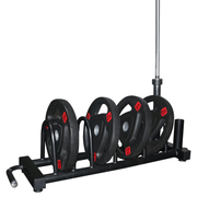 Strongway Gym Supplies Weight Plate and Vertical Bar Holder Storage Rack
