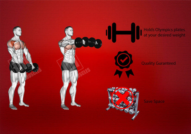 Strongway Gym Supplies Olympic Dumbbells Strongway 2" Olympic Dumbbell Barbell Set Pair with Spring Collars